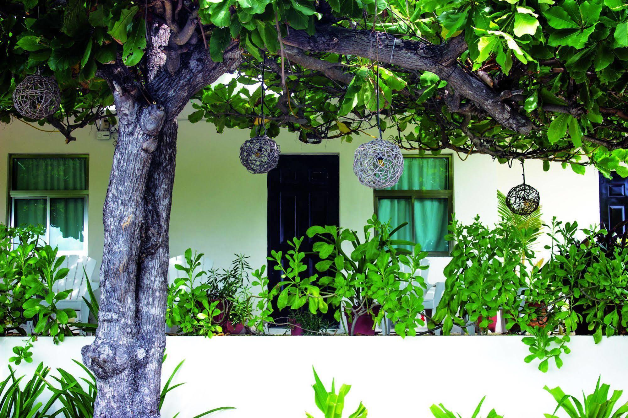 Hotel Luna D' Miel Apartments Isla Mujeres Exterior photo